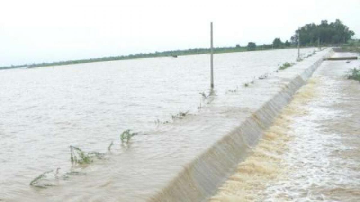 Godavari water level rises to alarming level, alert announced